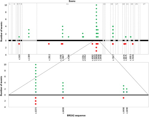 Figure 2. Summary plot of mutations in the BRCA2 gene linked to development of male breast cancer (red) and prostate cancer (green). In total, 19 of the 37 prostate cancer cases are linked to four mutations in a suggested prostate cancer cluster region spanning c.6373-c.6492 within exon 11 of the BRCA2 gene.