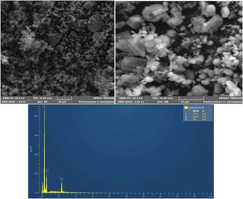 Figure 3b. SEM/EDS image of CHp