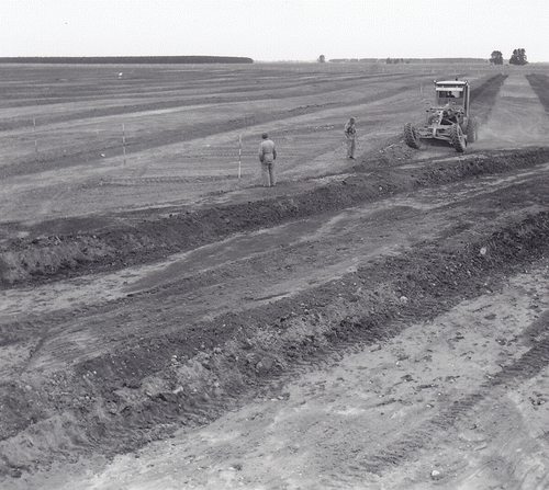 Figure 3  Preparing land for border-strip irrigation by constructing a water supply race, borders and levelling the land between borders during the 1950s.