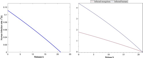 Figure 5. With still the same parameters in (Equation4.3(4.3) Λ=6;kbv=0.5;ηbv=1.5;bv=80;γv=0.8;βv=0.1;βh=0.15;α1h=0.3;α2h=0.7;α3h=0.5;α4h=0.8;α5h=0.8;α6h=0.8;α7h=0.8;α8h=0.8;γh=0.7;ηh=0.25;θh=0.5;r=6;(4.3) ), the threshold values are b¯=21.2330 and bc=42.0743, respectively. The curve on the left figure is for λh(b) at the endemic fixed point for each b. The upper curve and lower curve on the right figure are for Ih(b) and Iv(b) at the endemic fixed point for each b, respectively. Clearly, λh(b), Ih(b) and Iv(b) are all negative if b>b¯, which implies that no endemic fixed point exists although positive Nvb(+) exists for b¯<b<bc.