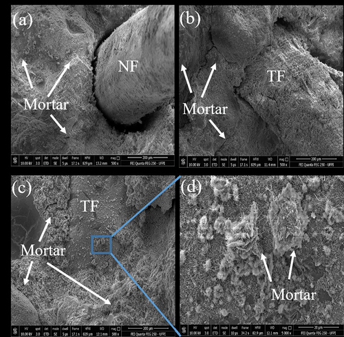 Figure 8. SEM images of babassu coconut epicarp fibers reinforced mortars: (a) NF (500×), (b) - (c) TF (500×), (d) TF (5000×, fiber surface covered by mortar).