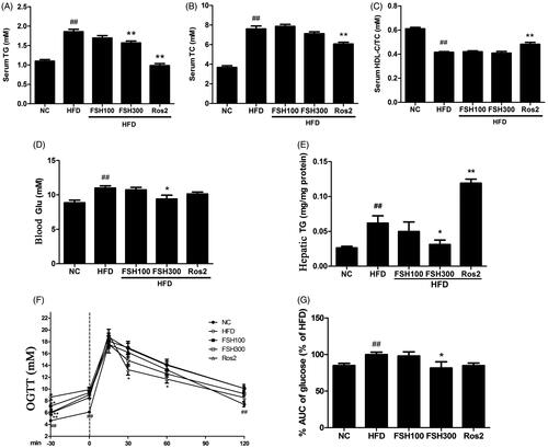 Figure 3. Effect of FSH on serum lipid profiles, blood glucose, hepatic TG, and OGTT. (A) Serum TG. (B) Serum TC. (C) Serum HDL-C/TC. (D) Fasting blood Glu. (E) Hepatic TG. (F) Blood glucose concentrations during an OGTT. (G) Area under the curve of blood glucose in OGTT. Values are expressed as mean ± S.E.M. (n = 10). *p < 0.05, **p < 0.01, vs. HFD group, respectively; ##p < 0.01, vs. NC group.