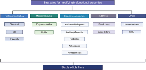 Figure 1. Strategies for modifying biofunctional properties of edible films from vegetal proteins.