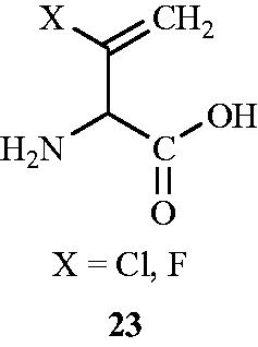 Figure 15. Structure of halovinylglycines 23 as Alr inhibitors.