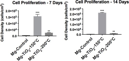 Figure 11 Human coronary endothelial cell proliferation on Mg-Zn alloy control and Mg-Zn-TiO2 (150°C, 200°C) samples. Data represent mean ± standard deviation, N=3; **p<0.01 and ***p<0.001 compared with control.Abbreviations: Mg, magnesium; Zn, zinc; TiO2, titanium dioxide.