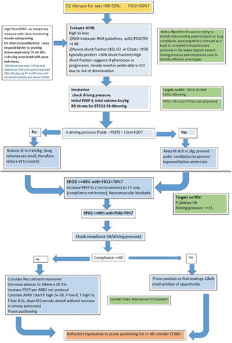Figure 2. Proposed ventilation strategies for management of critically ill COVID-19 patients at RGH