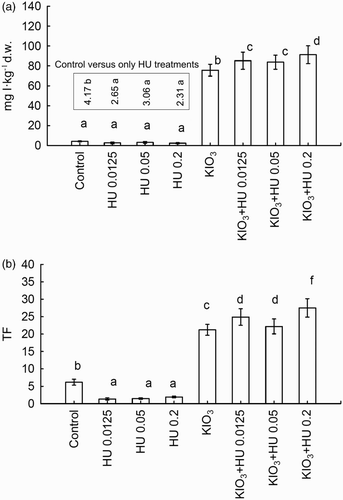 Figure 2. (A) Iodine content and (B) TF value in spinach after Humistar application and soil fertigation with KIO3. Means of the two-year study followed by the same letters are not significantly different at P < .05; bars indicate standard error (n = 8).