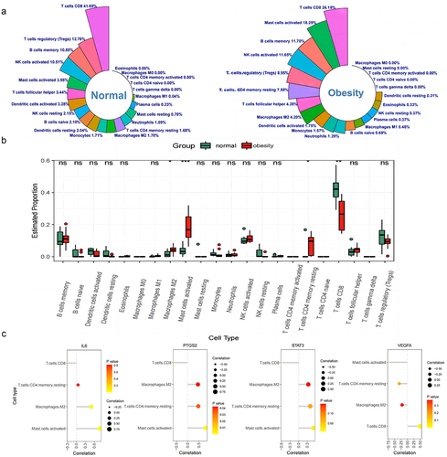 Figure 6. The gene functional enrichment analysis. (a) GO enrichment. (b) KEGG enrichment. (c) chord diagram for the distribution of OFR DEGs in different GO pathways. (d) Cluego network diagram for the relationship between OFR DEGs and GO pathways. (e) chord diagram for the distribution of OFR DEGs in different KEGG pathways. (f) Cluego network diagram for the relationship between OFR DEGs and KEGG pathways. GO, gene Ontology; KEGG, Kyoto Encyclopedia of genes and Genomes; OFR DEGs, obesity-ferroptosis related differentially expressed genes; BP, biological progress; MF, molecular function; TNF, tumour necrosis factor; IL, interleukin; HIF, hypoxia inducible factor; EGFR, epidermal growth factor receptor.