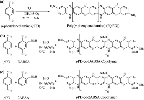 Scheme 1. The chemical reaction process of (A) the chemical oxidative polymerization reaction of pPD, (B) the copolymerization reaction of pPD with DABSA and (C) the copolymerization reaction of pPD with 2ABSA.