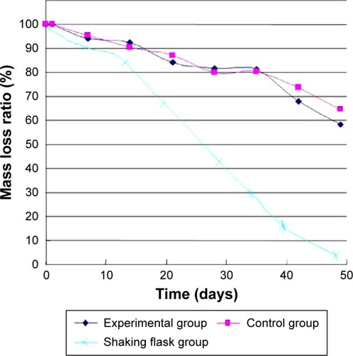 Figure 10 Mass loss of bFGF-PLGA MS during degradation in shearing force loading experiment.