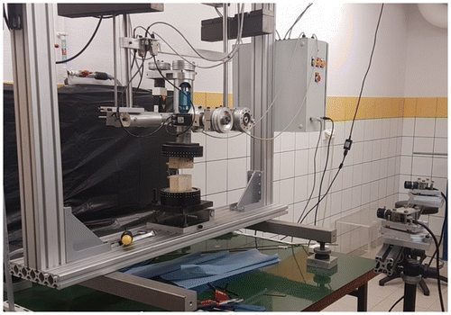 Figure 1. Spine testing setup and wood model.