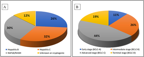 Figure 1 Distribution of risk factors and stages of HCC. (A) Distribution of risk factors for HCC. (B) Distribution of the different stages of HCC as per BCLC classification.