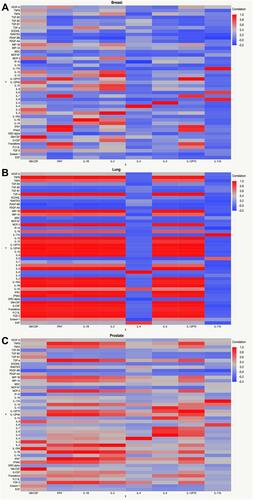 Figure 2 Correlation between “pain predictors” and a panel of 45 cytokines/chemokines.Notes: Data represented as heat maps color-coded by correlation from red (highest correlation of 1) to blue (lowest correlation). Factors quantified from plasma collected from breast (A), lung (B), and prostate (C) cancer patients (n=50 for each cancer type).