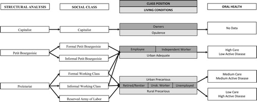 Figure 7. Final model. Social class (production and social reproduction) and oral health.