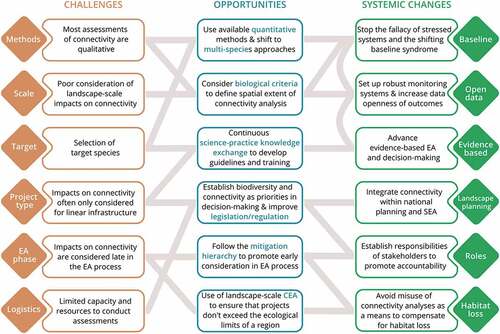 Figure 2. Synthesis of the contributions to this special issue: Challenges, opportunities, and systemic changes needed for adequate consideration of ecological connectivity in environmental assessment. The first column identifies current challenges and gaps in the EA process. The second column indicates opportunities for better integration of connectivity into EA practice as reported in the studies included in this special issue. The third column summarizes identified needs for systemic changes and further research efforts.