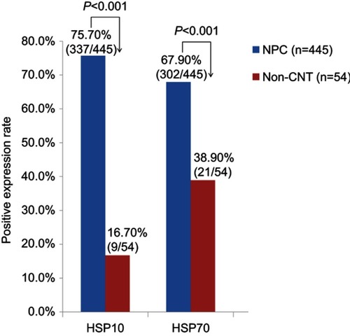 Figure 2 Bar graph showed that the expression levels of HSP10 and HSP70 proteins in NPC and non-cancerous nasopharyngeal control epithelium. In the 445 cases of NPC, positive percentage of HSP10 and HSP70 expression was 75.7% (337/445) and 67.9% (302/445). In the 54 cases of non-cancerous control nasopharyngeal epithelium, positive percentage of HSP10 and HSP70 was 16.7% (9/45) and 38.9% (21/45). There were significantly higher positive expression of HSP10 and HSP70 proteins in NPC compared to the non-cancerous control nasopharyngeal epithelium (P<0.001 and P<0.001, respectively).Abbreviations: HSP, heat shock protein; NPC, nasopharyngeal carcinoma.