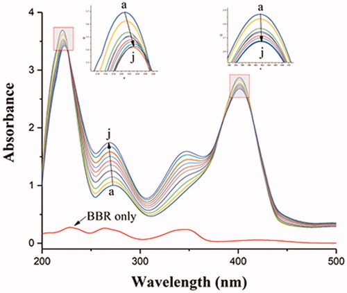 Figure 7. Absorption spectral titration of BHB (curve a) with increasing amounts of BBR (curves b–j). Conditions: BHB: 1 × 10−5 mol/L; BBR/(10−5 mol/L): (a) 0, (b) 0.2, (c) 0.4, (d) 0.6, (e) 0.8, (f) 1.0, (g) 1.2, (h) 1.4, (a) 1.6 and (j) 1.8. The concentration of BBR alone is 1.0 × 10−5 mol/L; pH = 7.4 and T = 298 K.