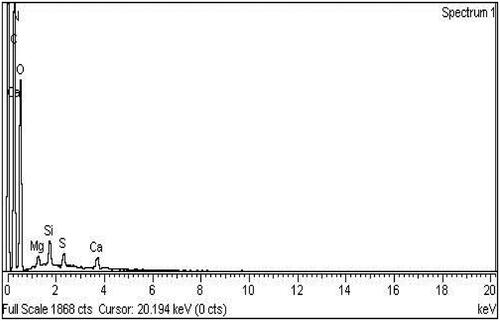 Figure 4. EDX analysis of 80 kGy γ-irradiated formulation F23.