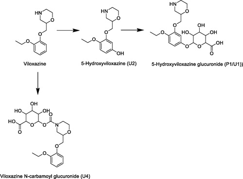 Figure 9. Summary metabolic scheme for viloxazine in human.