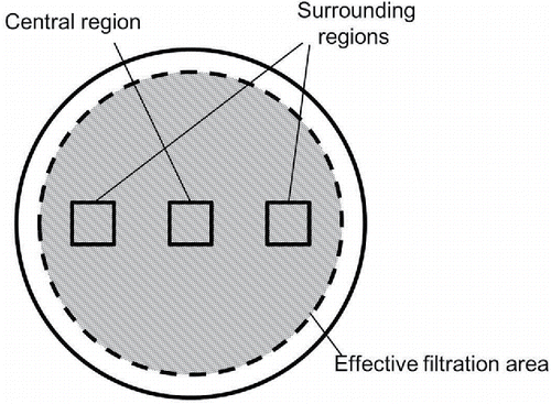 Figure 2. Schematic diagram of portions of the filter sample used for SEM observation.