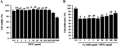 Figure 1. Effect of PPCE on toxicity and cyclophosphamide-stimulated splenocyte viability. Splenocytes were seeded into a 96-well plate with PPCE (0, 1, 3, 5, 10, 30, 50, 100, 300, 500, or 1000 μg/mL) or PPCE (0, 1, 3, 5, 10, 30, 50, 100, or 300 μg/ml) and cyclophosphamide (1,600 μg/ml) for 24 h in a 5% CO2 incubator and their viability rates were measured. Bars labeled with different superscripts indicate significant differences (P < 0.05 versus control). Data are presented as means ± standard errors (n = 3).