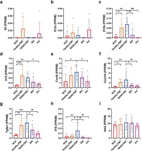 Figure 6. Hepatic enhancement and inhibitory signals of NK cells in HFD-induced NASH mice. (a) Hepatic Il2 of mice in different groups. (b) Hepatic Il12a of mice in different groups. (c) Hepatic Il12b of mice in different groups. (d) Hepatic Il15 of mice in different groups. (e) Hepatic Cxcl9 of mice in different groups. (f) Hepatic Cxcl10 of mice in different groups. (g) Hepatic Tgfb1 of mice in different groups. (h) Hepatic Il10 of mice in different groups. (H) Hepatic Il10 of mice in different groups. (i) Hepatic Ido2 of mice in different groups. Compared with the NCD group, *p < .05, **p < .01, ***p < .001; compared with the NASH-FMT group, #p < .05, # #p < .01, # # #p < .001.