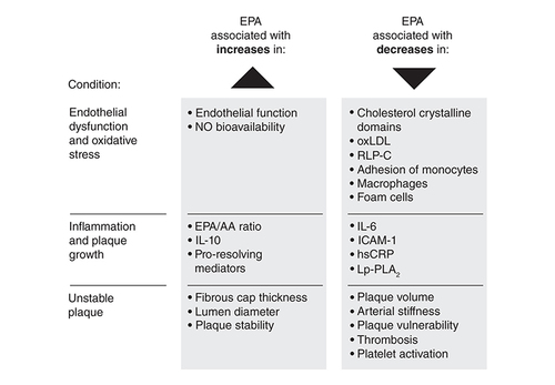 Figure 2. Pleiotropic effects of EPA.AA: Arachidonic acid; EPA: Eicosapentaenoic acid; hsCRP: High-sensitivity C-reactive protein; ICAM-1: Intercellular adhesion molecule 1; IL: Interleukin; Lp-PLA2: Lipoprotein-associated phospholipase 2; MMPs: Matrix metalloproteinases; NO: Nitric oxide; oxLDL: Oxidized low-density lipoprotein; RLP-C: Remnant lipoprotein cholesterol.Data taken from [Citation47,Citation50].