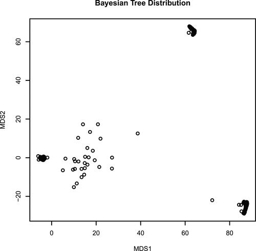 Figure 5. Multidimensional scaling plot of the Bayesian posterior distribution of trees obtained from an explicitly partitioned Pardo et al.’s (Citation2017) matrix.