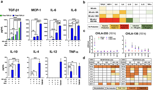 Figure 3. CAF and TAM induce the production of cytokines/chemokines in NB cells.