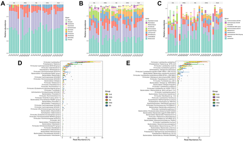 Figure 3 The relative abundance of the species with the highest abundance in the sample at each taxonomic level. (A) The bar plot of relative abundance at the Phylum level. (B) The bar plot of relative abundance at the Family level. (C) The bar plot of relative abundance at the Genus level. (D) The bar plot of high abundance Genus. (E) The bar plot of high abundance Species. CG; HNG; AG; CHG; and CLG (n=6).