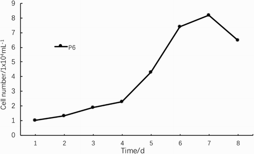 Figure 4. Growth curve of NSCs.