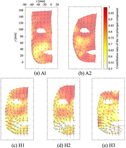 Figure 6. Spatial distributions of the contribution ratio of the first principal components in two androids (A1 and A2) and three humans (H1, H2, and H3).