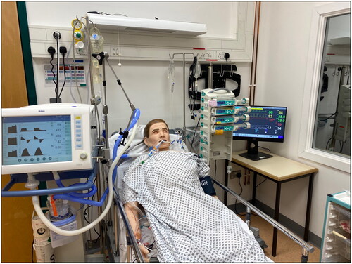 Figure 1. Simulated ICU patient.