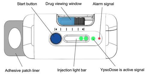 Figure 1 Large-volume patch injection device used in the simulated use study.