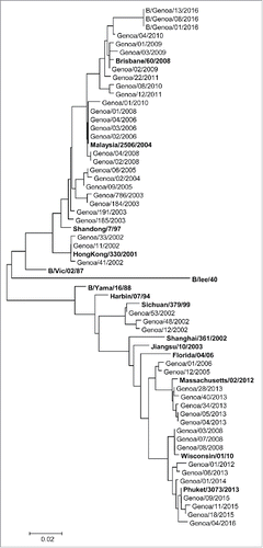 Figure 4. Phylogenetic analysis of the subunit 1 of the Hemoagglutin (HA1) nucleotide sequences from influenza B Yamagata-land Victoria-lineages isolated in Liguria region, Italy, from 2001/02 to 2015/16 influenza seasons.