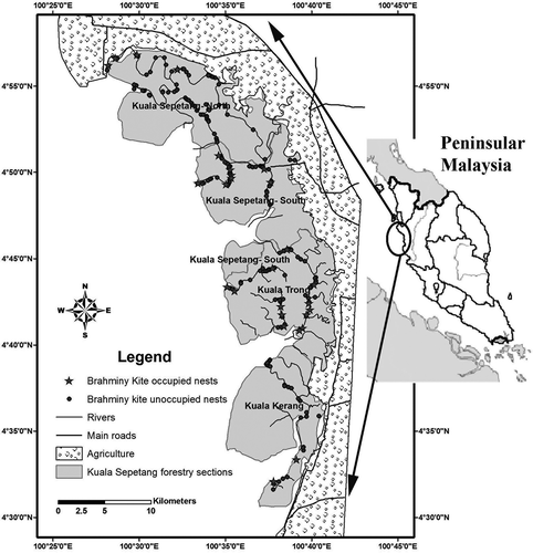 Figure 2. Distribution of Brahminy Kite nests in Matang Mangrove Forest Reserve.