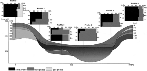 Figure 4 Proportions of solid, fluid and gas phase in soil horizons. a.s.l., above sea level.