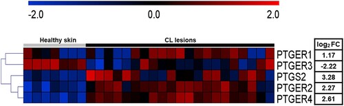 Figure 1. High expression of PGE2 pathway components is observed in active CL lesions. Unbiased RNAseq was performed on skin samples from 7 healthy subjects and lesions from 21 CL patients. Heatmap columns and rows representative of individuals and genes, respectively. Heatmap colour reflects raw z-scores of gene abundance across samples.