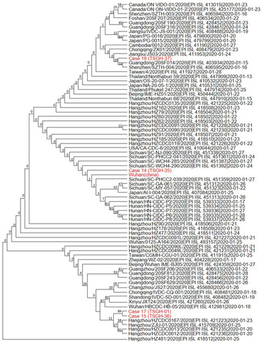 Figure 3 Phylogenetic tree with 75 viral genome strains linking the four familial sequences.