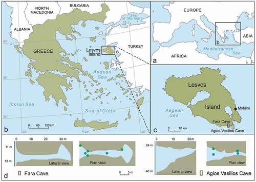 Figure 1. (a–c) Location of the studied caves in Lesvos Island, Aegean Sea, Eastern Mediterranean. (d) Lateral and plan views of the caves with indication of depth and location of collected samples in relation to distance from the entrances; blue circles: ceiling samples; green circles: wall samples