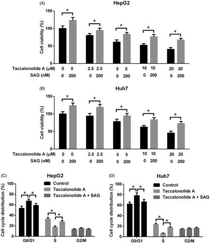 Figure 5. Activation of Shh pathway suppressed taccalonolide A-induced cytotoxicity and cell cycle arrest in HCC cells. (A,B) HepG2 and Huh7 cells were treated with 0, 2.5, 5, 10 and 20 μM taccalonolide A in the presence or absence of 200 nM SAG for 48 h. Cell viability was evaluated by CCK-8 assay. *p < .05. 0.1% DMSO was used as vehicle control. All experiments were repeated three times in triplicate. Significance was analyzed using Student’s t-test. (C,D) HepG2 and Huh7 cells were treated with 11.9 and 16.8 μM taccalonolide A, respectively, in the presence or absence of 200 nM SAG for 48 h. Cell cycle distribution was analyzed by flow cytometry. *p < .05. 0.1% DMSO was used as vehicle control. All experiments were repeated three times. Significance was analysed using one-way ANOVA.