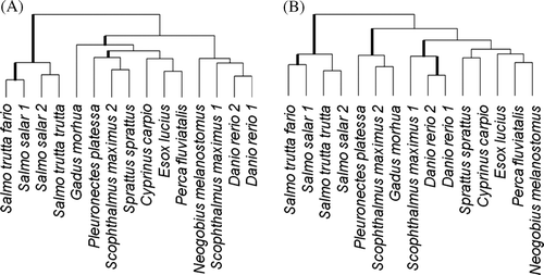 Figure 3.  Hierarchical clustering using Manhattan distance and average linking of fish Tc1 profiles using oligonucleotide probes in the cluster 3A in Figure 2 without 7 PCR probes (tree A) and using oligonucleotide probes in the cluster 3B in Figure 2 without 6 PCR probes and with probes Oncm12_1 and Sals9_1 (tree B). Statistically significant branches (weighted least squares likelihood ratio test p-value <0.05) are shown by thicker lines.