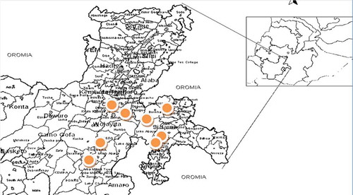 Figure 1. The study areas of coffee in southern Ethiopia (Yellow spotted areas are the place where the study was conducted