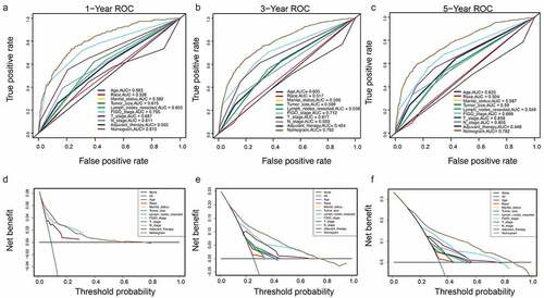 Figure 8. Clinical utility of the nomogram models in the validation set. (a–c): ROC curve of each model at 1, 3, and 5 years (OS). (d–f): DCA curve of each model at 1, 3, and 5 years (OS)