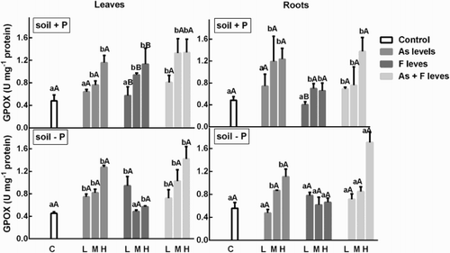 Figure 4. Determination of GPOX activity on soybean roots and leaves’ treatment with low, medium and high As and/or F concentration with both P conditions. Experiments were carried out as described in the ‘Materials and methods’ section. Data are mean values of three independent experiments ± S.E. Each value represents three replicates. Different lowercase letters within columns indicate significant differences with respect to controls (p < 0.05). Different capital letters within rows indicate significant differences between roots or leaves in Soil P+ and Soil P−(p < 0.05), according to the Tukey’s multiple range test.