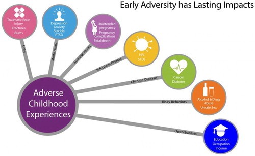 Figure 3. Adverse childhood experiences. Source: Materials developed by CDCNote: Use of this graphic was free and done with the consent of the CDC. It does not constitute its endorsement or recommendation by the U.S. Government, Department of Health and Human Services, or Centers for Disease Control and Prevention.