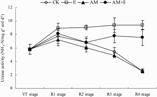 Figure 4. Dynamic change of urease activities in CK, E, AM and AM + E treatments from VT to R4 stage. Bars represent means ± SEs (n = 4). CK stands for the chamber without earthworm and hypahe addition; E for the chamber with earthworms; AM for the chamber with indigenous hyphae access; AM + E for the chamber with earthworms and indigenous hyphae access.