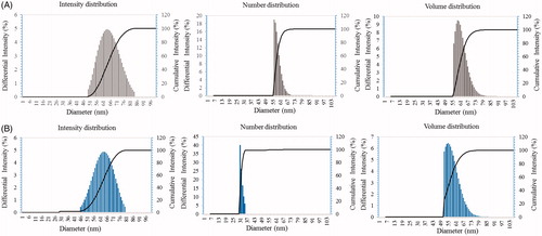 Figure 6. Particle size distribution of P-AgNPs (A), and P-AuNPs (B), with respect to intensity, number and volume distributions of nanoparticles.