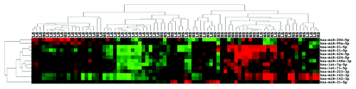 Figure 2. miRNA expression separates a majority of high stage from low stage ccRCC. Unsupervised two-dimensional hierarchical clustering with a data matrix of 13 probes in 81 annotated ccRCC (46 LS and 35 HS).