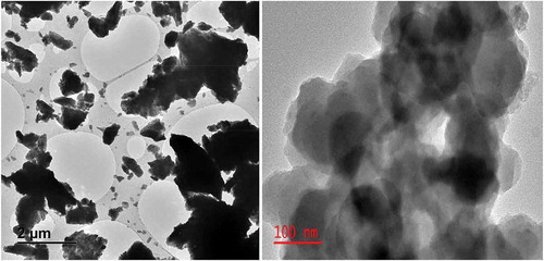 Figure 3a. TEM image of the CHp